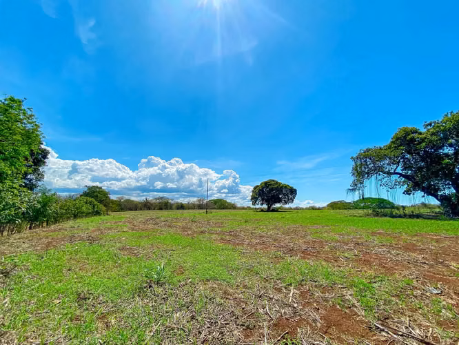 Venta de Finca en Guararé - Imagen 4