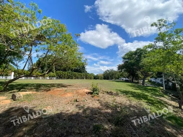 Venta de terreno en Santa Clara, Coclé - Imagen 3