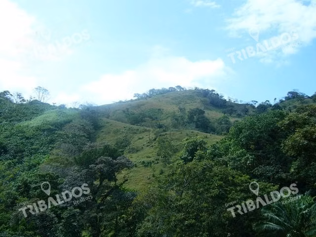 Venta de terreno frente a playa Puerto Lindo Colón