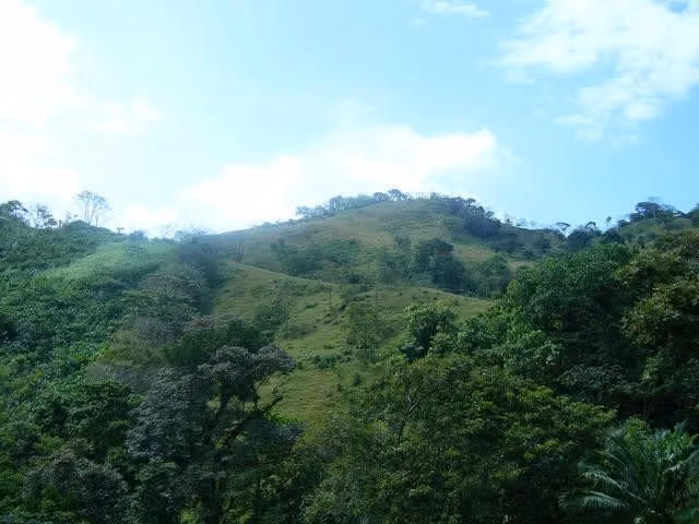 Venta de terreno frente a playa Puerto Lindo Colón