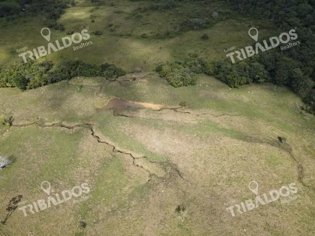 Se vende finca ganadera en Margarita de Chepo