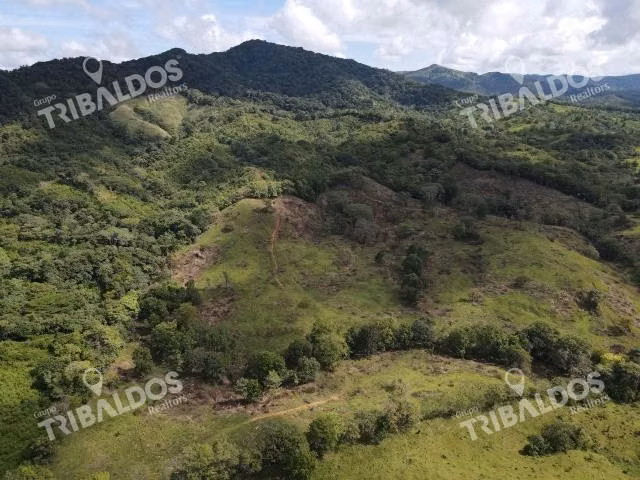 Se vende finca ganadera en Margarita de Chepo