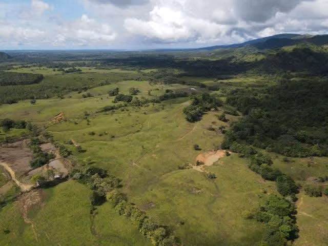 Se vende finca ganadera en Margarita de Chepo