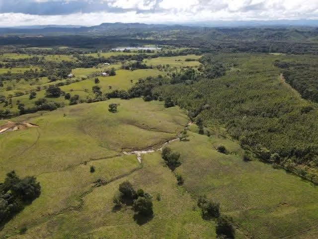 Se vende finca ganadera en Margarita de Chepo