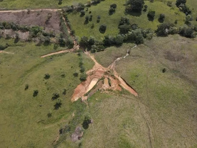 Se vende finca ganadera en Margarita de Chepo