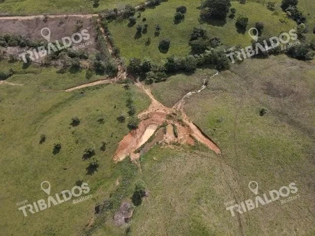 Se vende finca ganadera en Margarita de Chepo