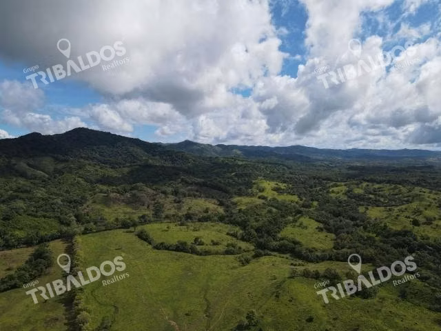 Venta de Finca Margarita Chepo 200 Has