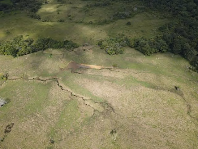 Se vende finca ganadera en Margarita de Chepo
