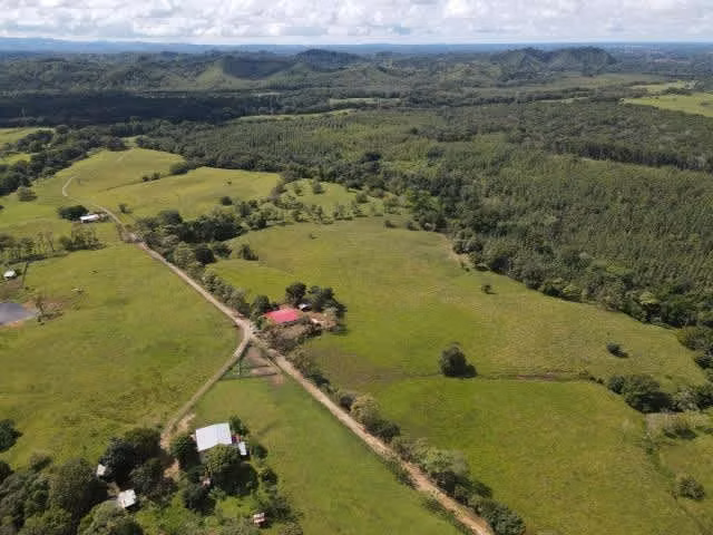 Se vende finca ganadera en Margarita de Chepo