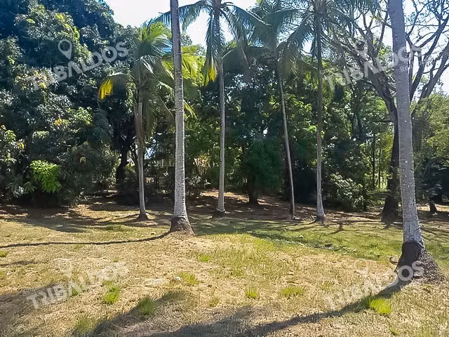 Venta de Terreno en Pacora
