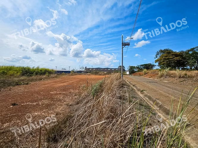 Venta de Terreno comercial en Tanara De Chepo - Imagen 5