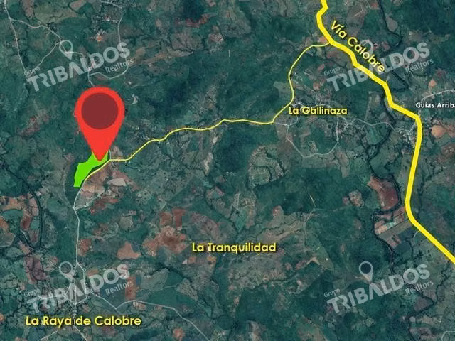 Finca en la Raya de Calobre, Veraguas - Imagen 6