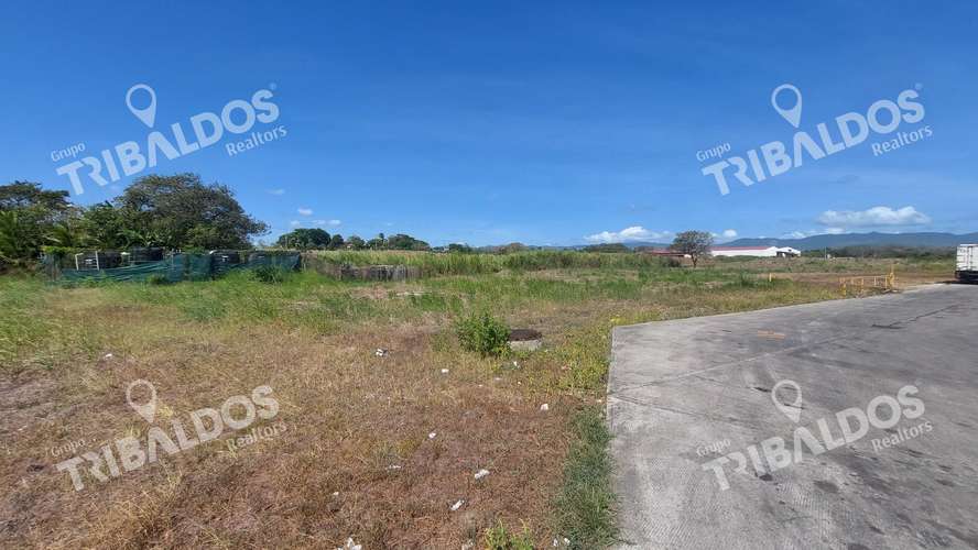 Venta de Terreno en Pacora - Imagen 3