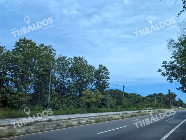 Venta de Finca en la Ermita