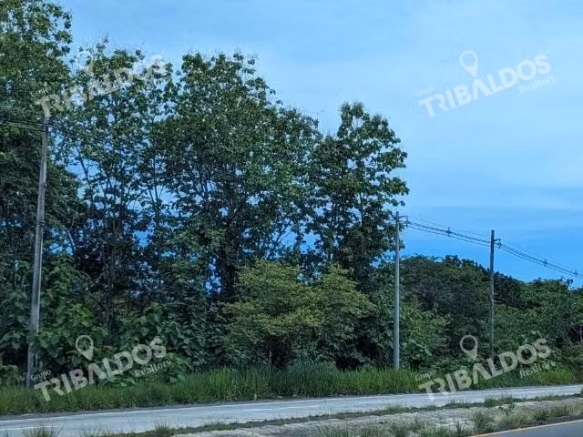 Venta de Finca en la Ermita