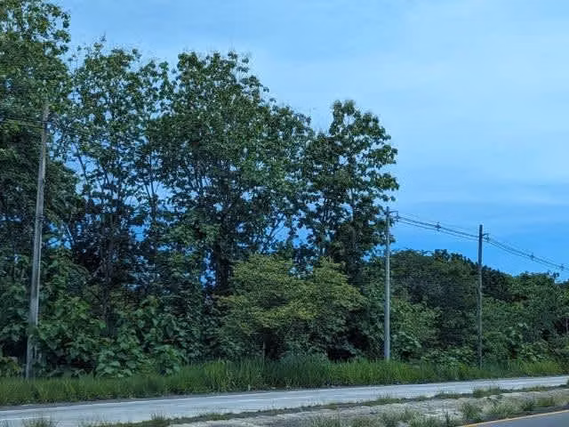 Venta de Finca en la Ermita