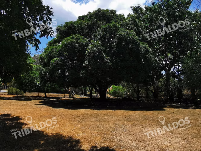 Venta de Terreno con Casa en Santa Clara con Piscina