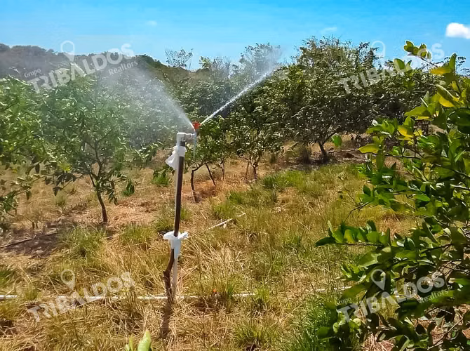 Venta de Finca en Antón Cloclé