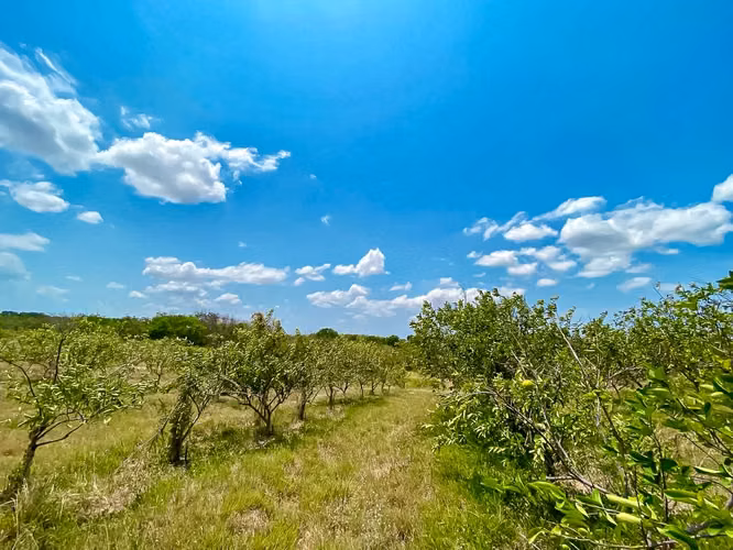 Venta de Finca en Antón Cloclé