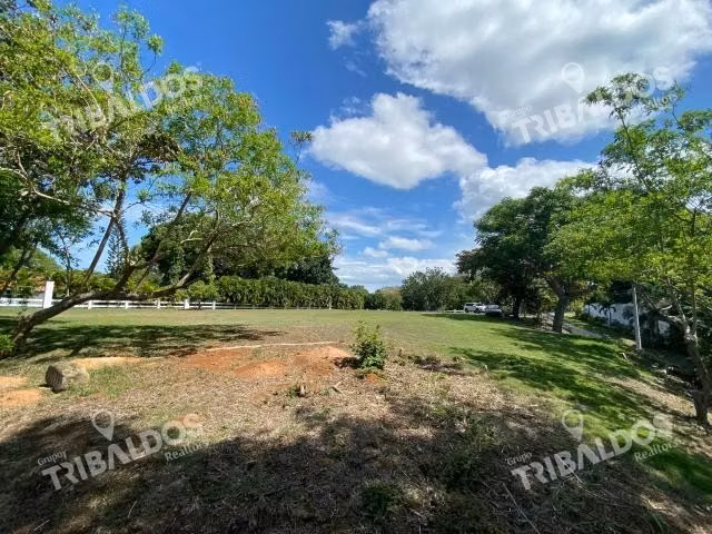 Venta de Lote terreno en Santa Clara con vista al mar - Imagen 5