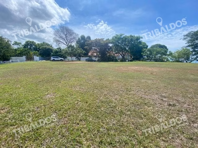 Venta de Lote terreno en Santa Clara con vista al mar - Imagen 4