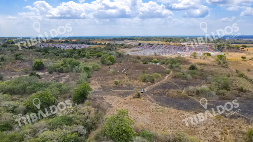 TERRENO EN PACORA