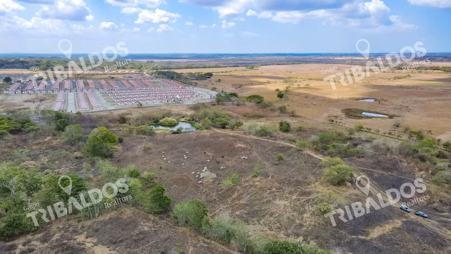 TERRENO EN PACORA
