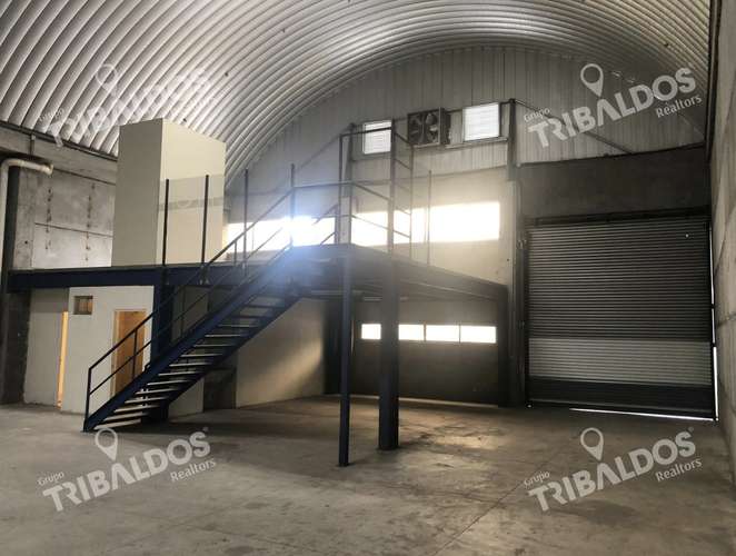 GALERA EN TOCUMEN - Imagen 4