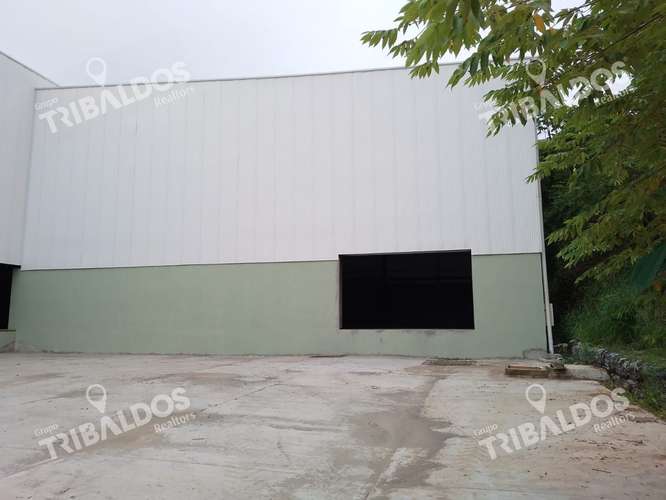 ALQUILER DE GALERA EN LAS MAÑANITAS - Imagen 6