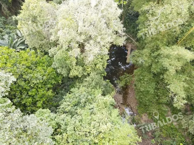Finca en Nuevo San Juan , Colón , 250 ha - Imagen 6