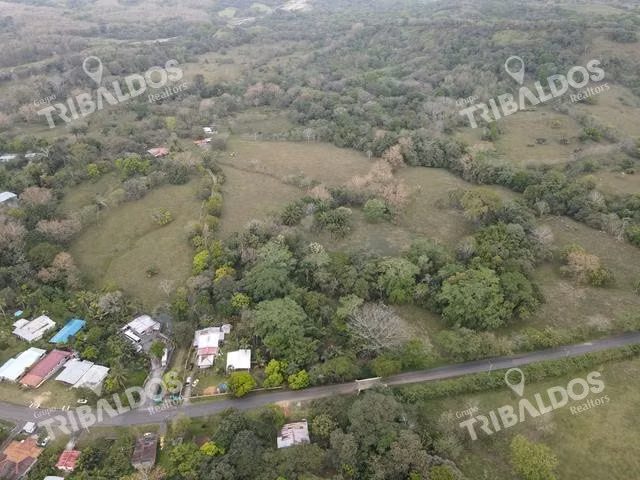 Finca en Nuevo San Juan , Colón , 250 ha - Imagen 7