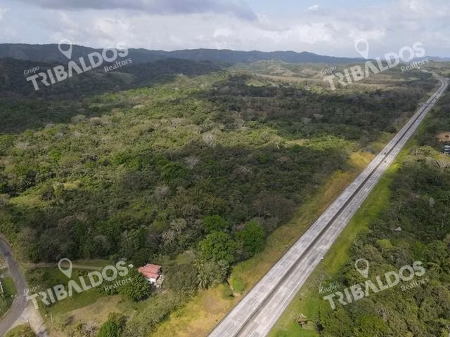 Finca en Nuevo San Juan , Colón , 250 ha - Imagen 12