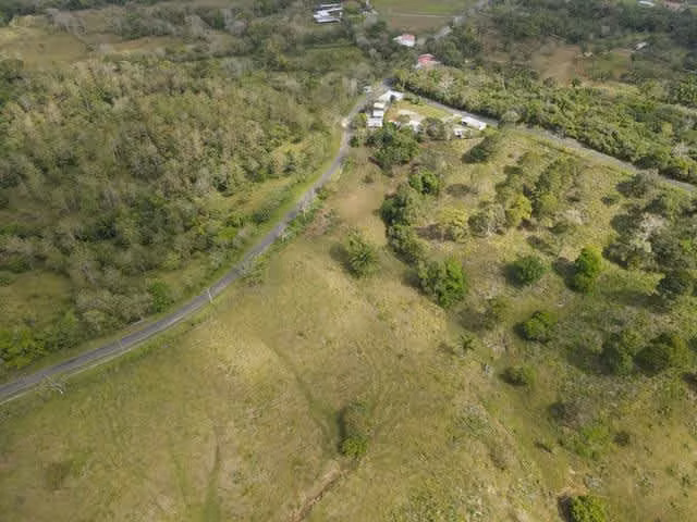 Finca en Nuevo San Juan , Colón , 250 ha