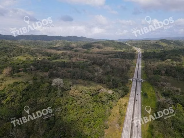Finca en Nuevo San Juan , Colón , 250 ha - Imagen 9
