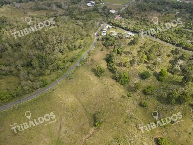 Finca en Nuevo San Juan , Colón , 250 ha - Imagen 4