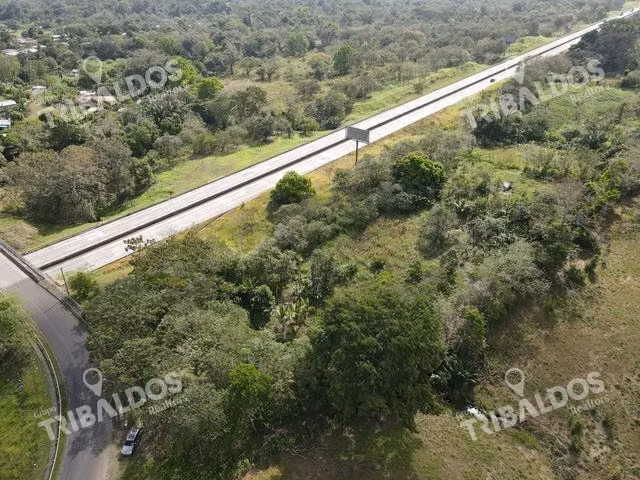 Farm in Nuevo San Juan, Colón, 310 HAS