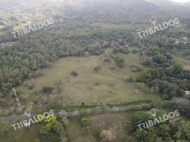 Finca en Nuevo San Juan , Colón , 250 ha - Imagen 2