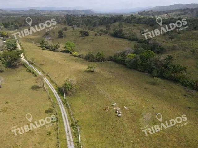 Finca en Nuevo San Juan , Colón , 250 ha - Imagen 3