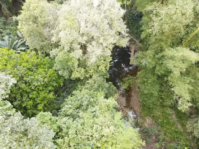 Finca en Nuevo San Juan , Colón , 250 ha