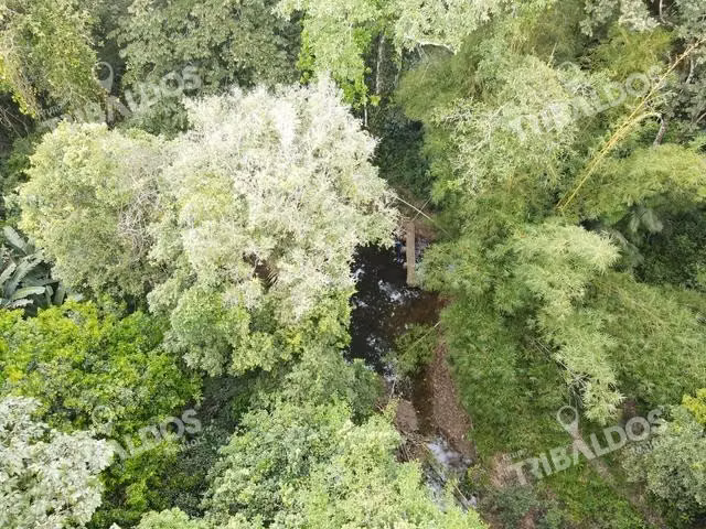 Finca en Nuevo San Juan , Colón , 250 ha - Imagen 11