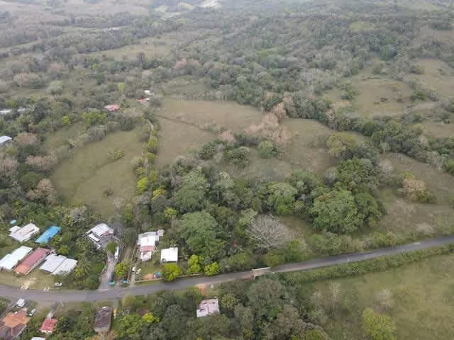 Finca en Nuevo San Juan , Colón , 250 ha