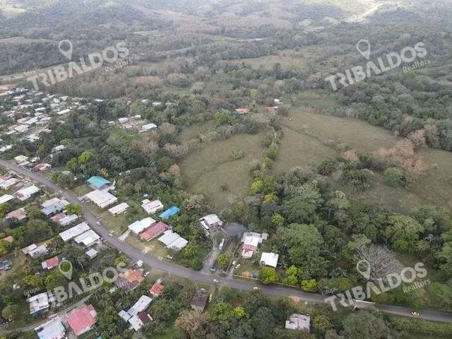 Finca en Nuevo San Juan , Colón , 250 ha - Imagen 8