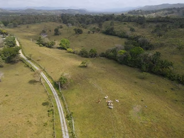 Finca en Nuevo San Juan , Colón , 250 ha