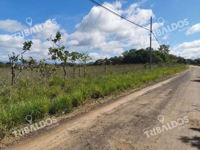 Venta de Terreno en Penonomé - Imagen 4