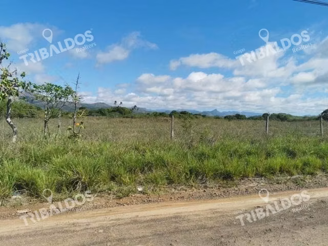 Venta de Terreno en Penonomé - Imagen 3