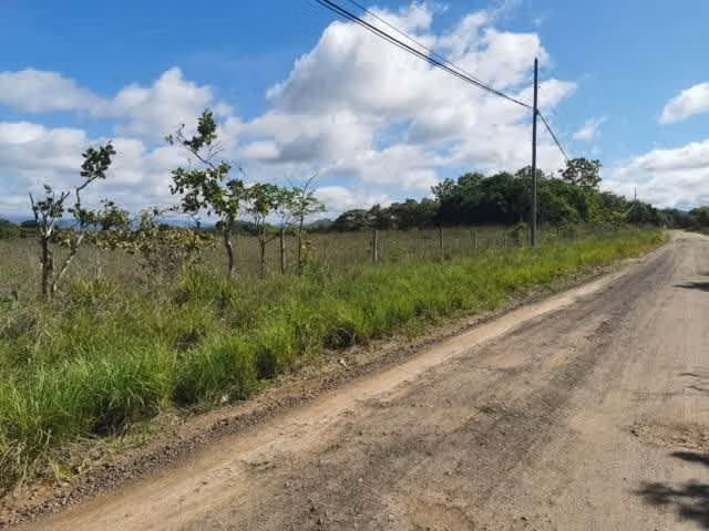 Venta de Terreno en Penonomé - Imagen 4