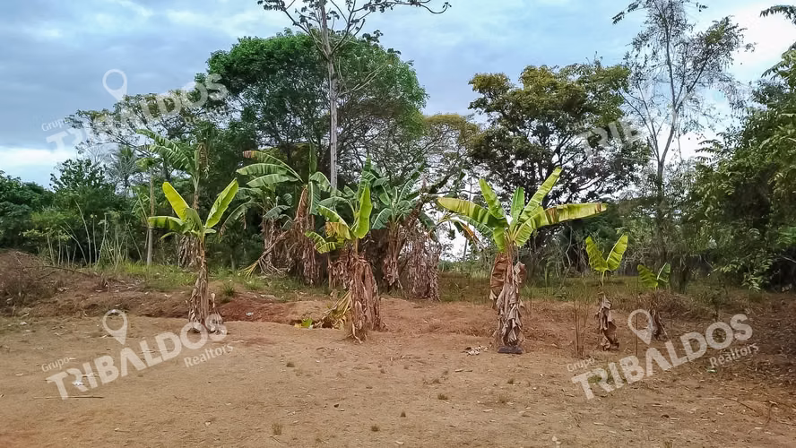 Se vende Terreno en Pedregal