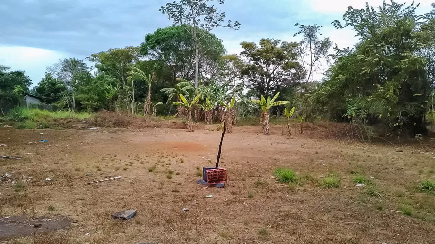 Se vende Terreno en Pedregal - Imagen 4