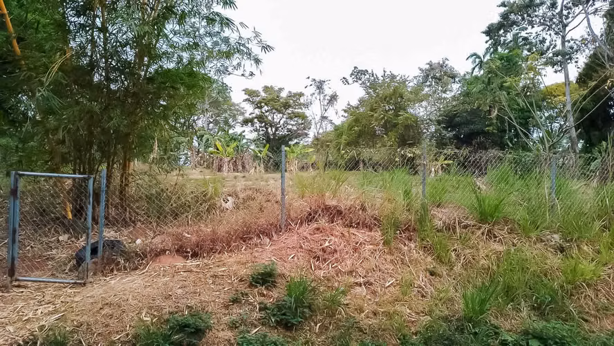 Se vende Terreno en Pedregal - Imagen 2