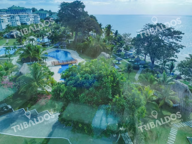 VENTA DE APARTAMENTO FRENTE AL MAR EN BIJAO - Imagen 4